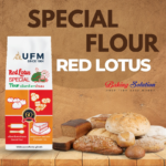 Red Lotus Special  Flour 1KG