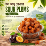 Sour Plums - টক আলু বোখারা