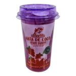 Dolphine Nata De Coco Grape Flavor 270ml