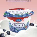 Emmi Blueberry Yogurt 100g