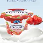 Emmi Strawberry Yogurt 100g