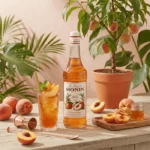 Monin Monin  Syrup 1L